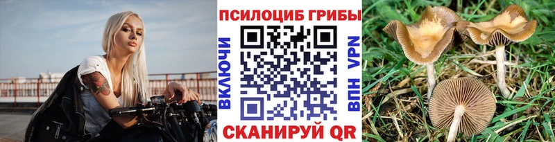 Галлюциногенные грибы GOLDEN TEACHER  Купить закладки  Славск 